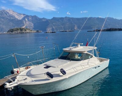 Tiara 4300 Open – 2013 built